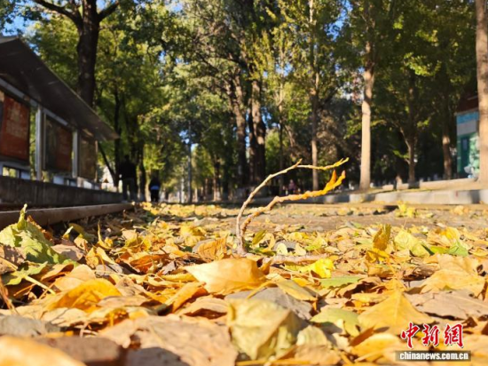 �S��54·��܉�܇�ؾ��h(hu��n)��������������߅�L(f��ng)ò������(j��)�����S���~䁝M·�������� ���z