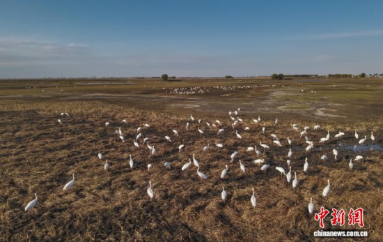 10��16�գ��ڼ���ĪĪ���(gu��)�Ҽ�(j��)��Ȼ���o(h��)�^(q��)��(n��i)���Q����Ϣ��(�o(w��)�˙C(j��)��Ƭ)�w��� �z