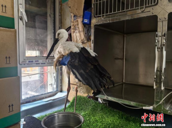 �܂��Ė|�����X���ڽ����ί�����ʯ���� �z