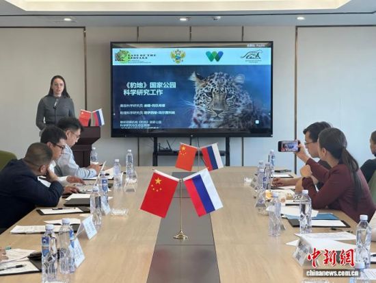 ���_˹���ҷ������o(h��)�|������(j��ng)��������� �z