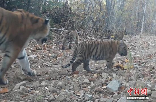 2025���ږ|���������ҹ��@�Ĕz���Ė|������(��ҕ��ý���D)