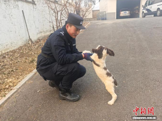 ���Ҳ������c�[�����B(y��ng)�H�ܶ�����ʯ���� �z