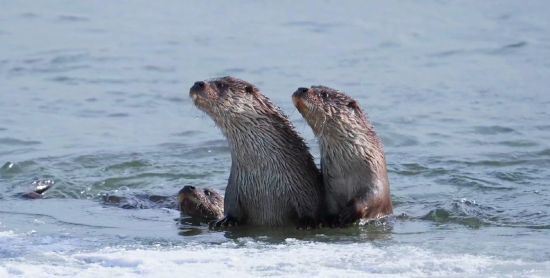 ������ί������/���D