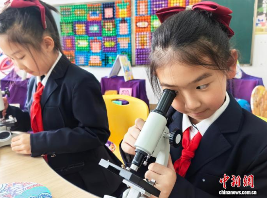 �W(xu��)��ͨ�^�@΢�R�^���G�~��(x��)������ʯ���� �z