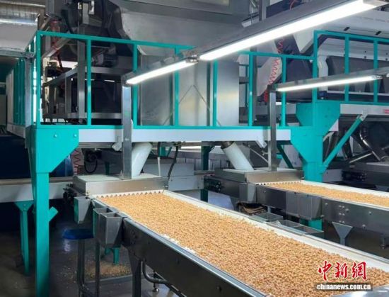 �������a(ch��n)����(�L�����P(gu��n)���D)