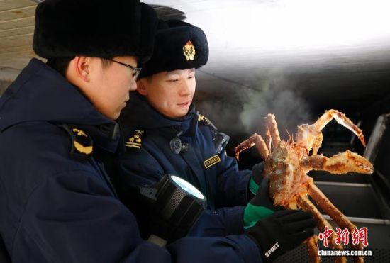 �L(zh��ng)�����P(gu��n)���٬q�����P(gu��n)�P(gu��n)�T��(du��)�M(j��n)�ڵ���з�_չ���(y��n)�������̽��V �z