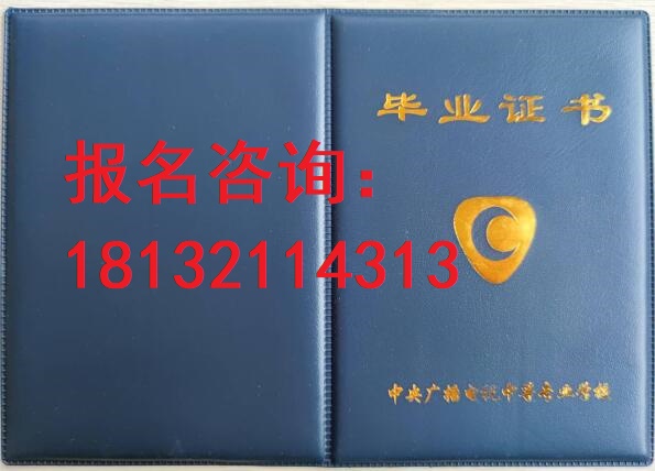 電大中?？荚囋趺崔k