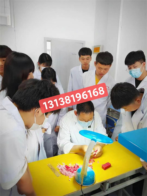 石家莊白求恩醫(yī)學(xué)院升學(xué)對口高考和單招有什么區(qū)別？