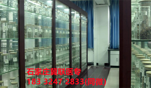 中專中藥專業(yè)能考哪些證書？