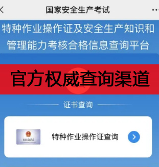 2025年應(yīng)急管理局電工證查詢(xún)網(wǎng)站官方網(wǎng)站